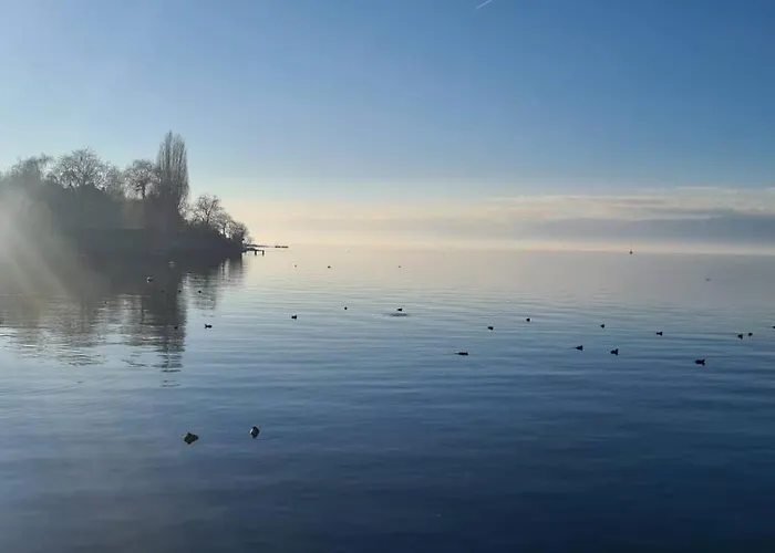 Le Duc * Thonon-les-Bains